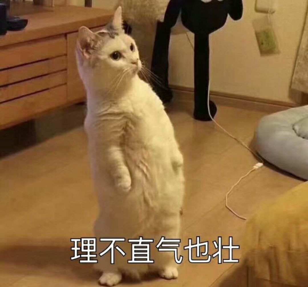 DƬ
